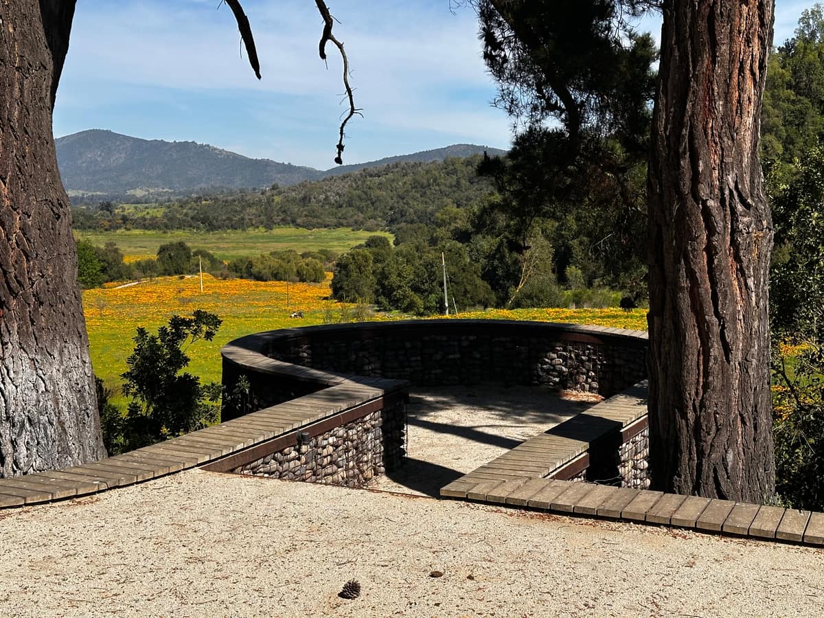 Parque Juan Grimm en Casablanca · Kurantu, foto 1