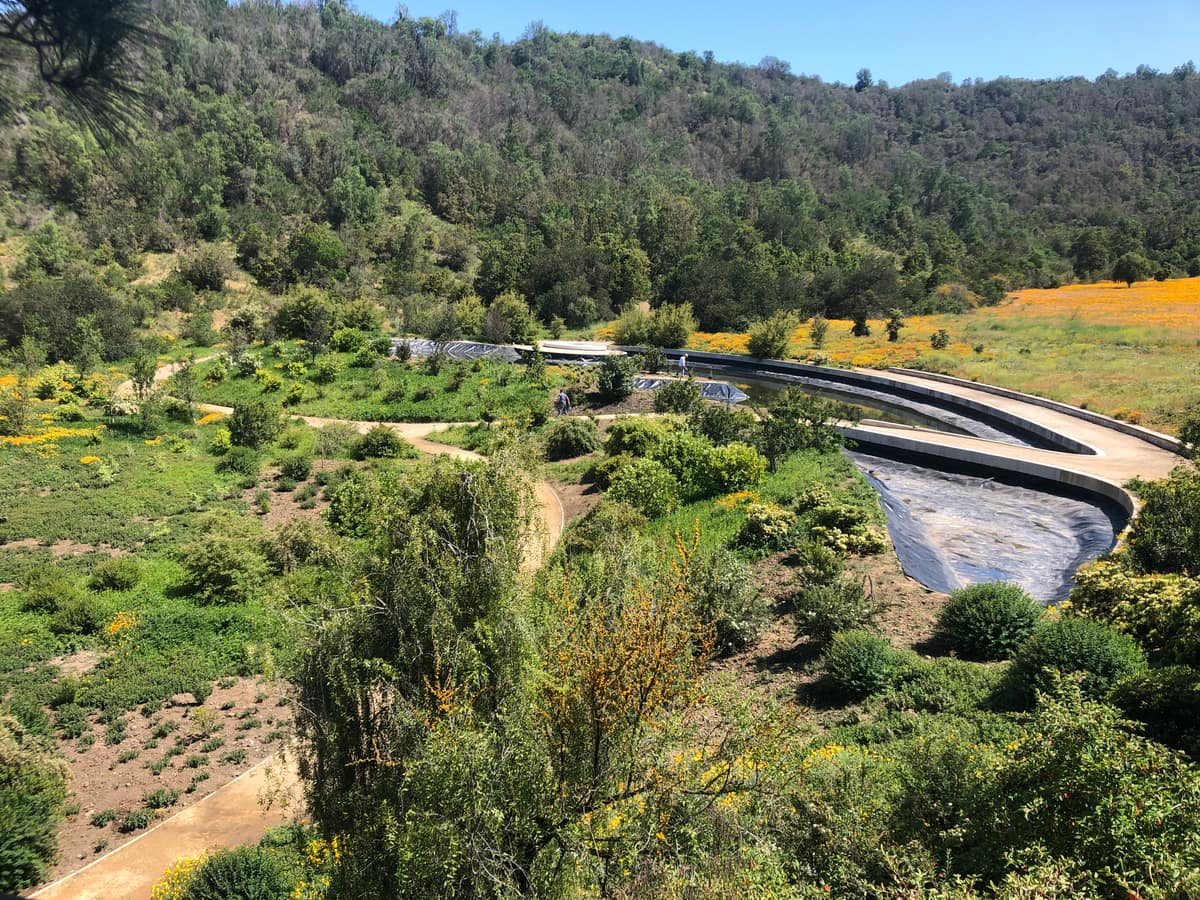 Parque Juan Grimm en Casablanca · Kurantu, foto 16