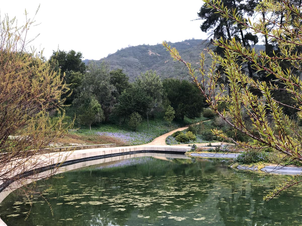 Parque Juan Grimm en Casablanca · Kurantu, foto 17