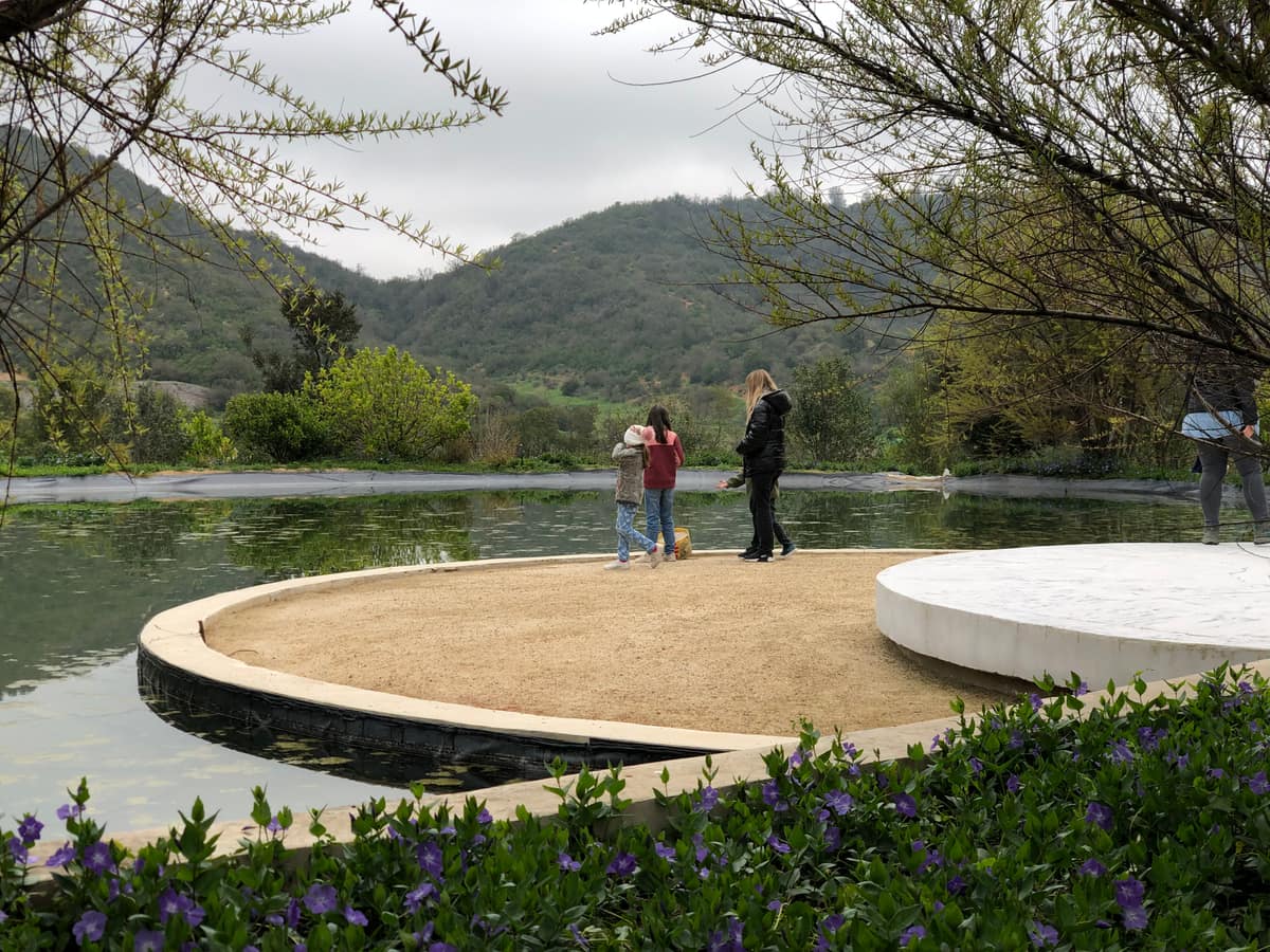 Parque Juan Grimm en Casablanca · Kurantu, foto 18