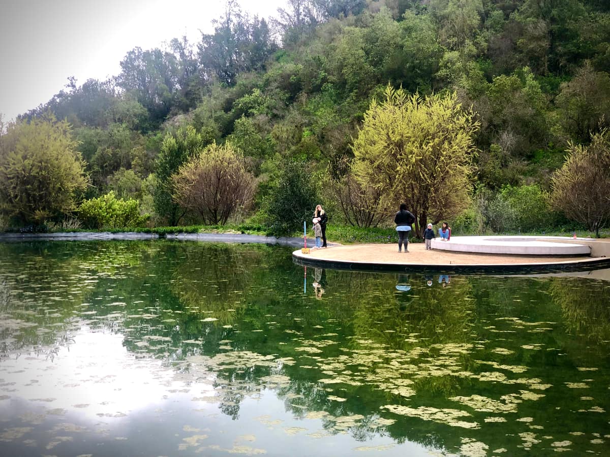 Parque Juan Grimm en Casablanca · Kurantu, foto 19