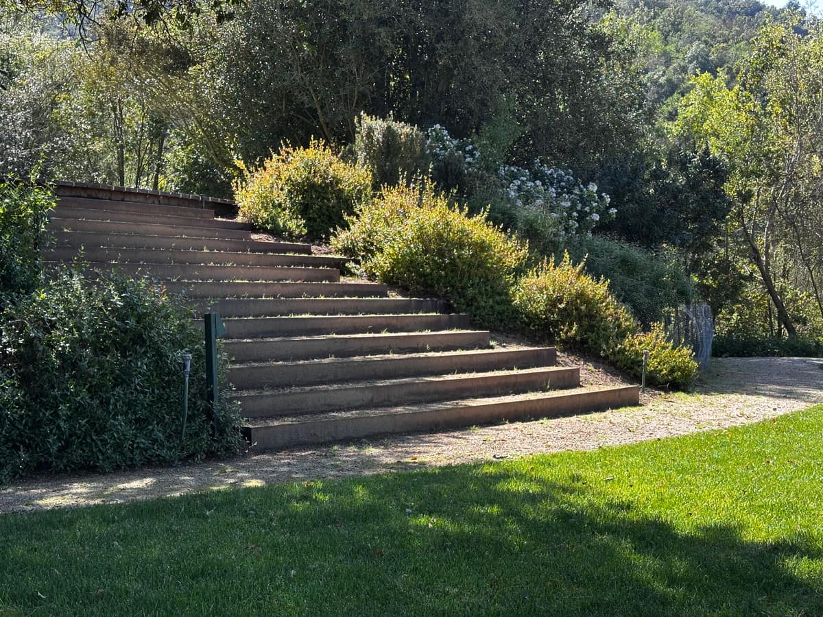Parque Juan Grimm en Casablanca · Kurantu, foto 2