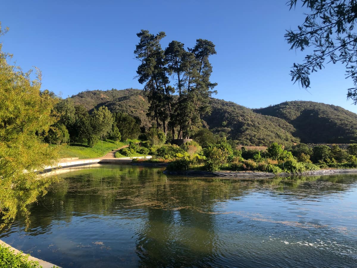 Parque Juan Grimm en Casablanca · Kurantu, foto 20