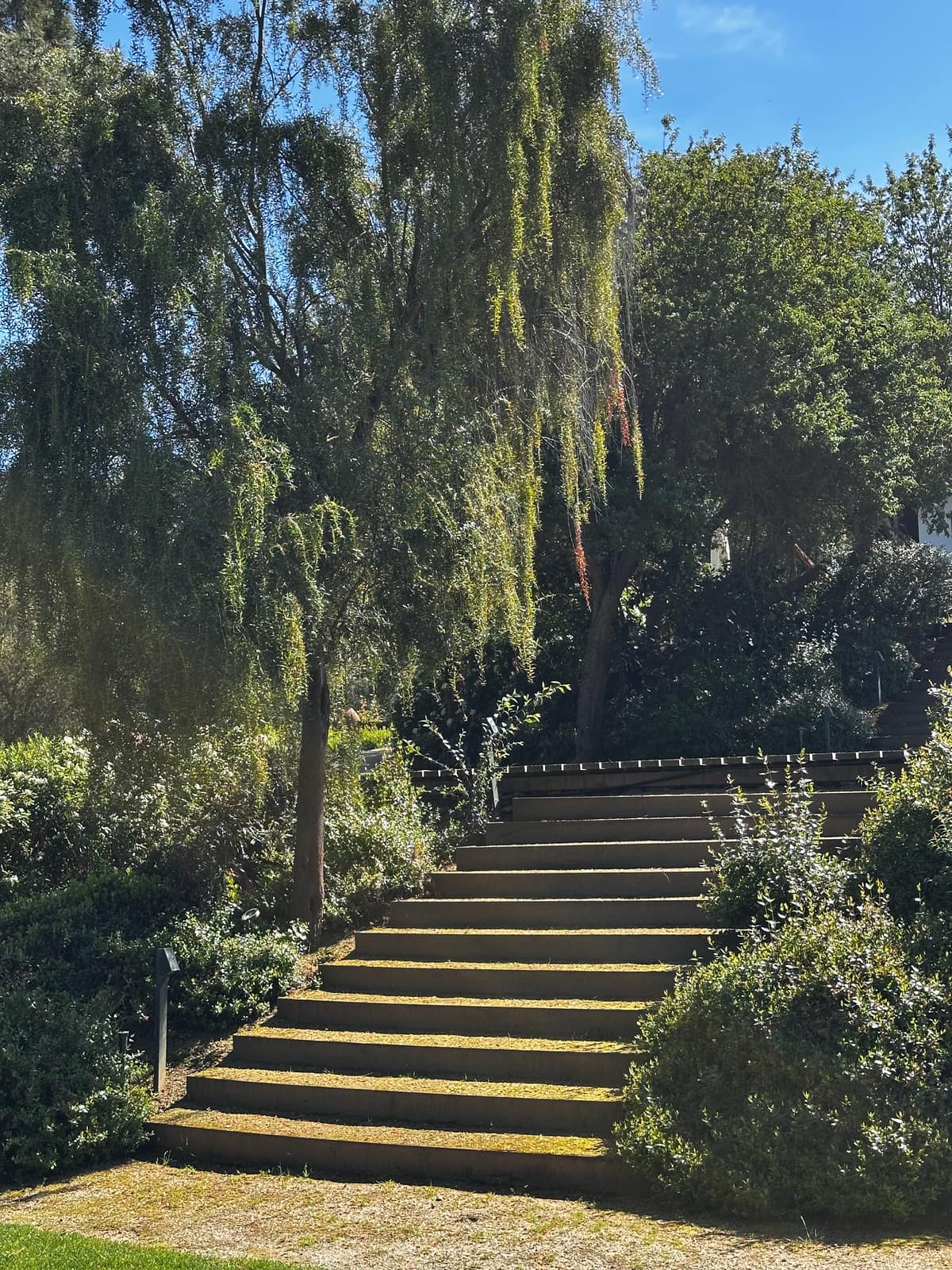 Parque Juan Grimm en Casablanca · Kurantu, foto 5
