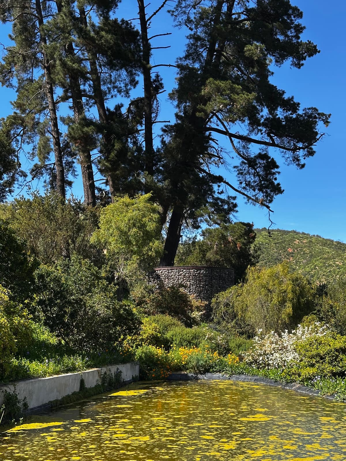 Parque Juan Grimm en Casablanca · Kurantu, foto 6