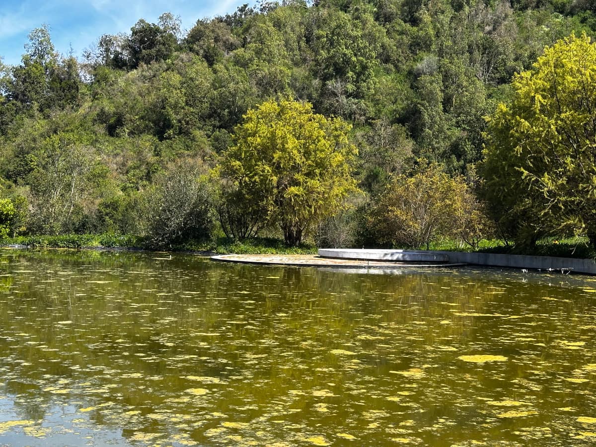 Parque Juan Grimm en Casablanca · Kurantu, foto 8